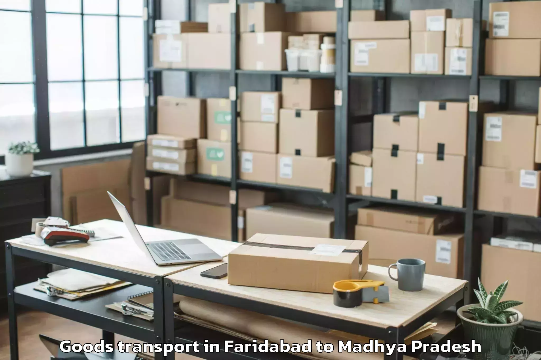 Discover Faridabad to Maharajpur Goods Transport